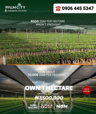 Hectares of Oil Palm Tree Farmland in Dananu Village, Ogbomoso, Dananu Village, Ogbomoso, Ogbomosho North, Oyo, Land for Sale
