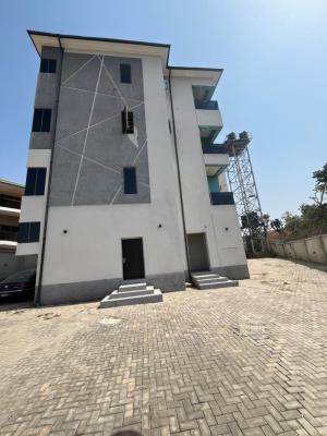 Luxurious Spacious 2 Bedrooms Apartment, Guzape District, Abuja, Flat / Apartment for Rent
