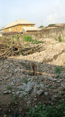 Standard Full Plots of Land, Off Ekoro Road, Abule Egba, Agege, Lagos, Residential Land for Sale