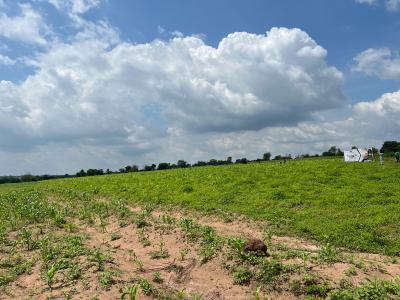 Make Cool Cash From Agriculture Through Selected Crop Farming, Make Steady Cash Flows From Agriculture Without Breaking The Bank, Abeokuta North, Ogun, Mixed-use Land for Sale