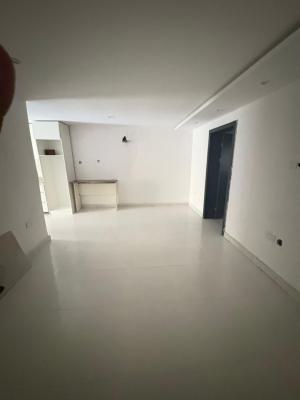 Spacious 1-bedroom Apartment (mini Flat), Lekki Phase 1, Lekki, Lagos, Mini Flat (room and Parlour) for Rent