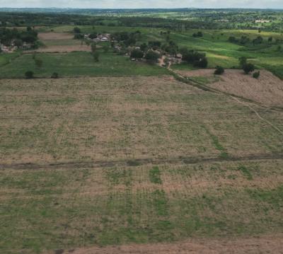 Fertile Land Suitable for Several Crop Farming Ranging From Cocoa, Own an Acre of Fertile Farmland and Enjoy Massive Discounts Today, Abeokuta North, Ogun, Mixed-use Land for Sale