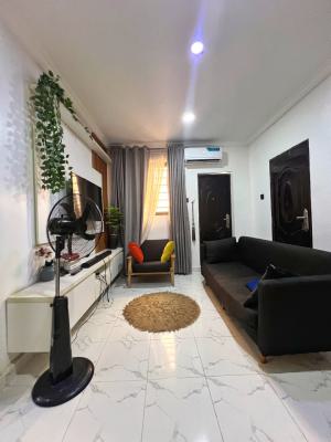 a Luxury 1 Bedroom Apartment, Abiodun Wright Ave, Surulere, Lagos, Mini Flat (room and Parlour) Short Let
