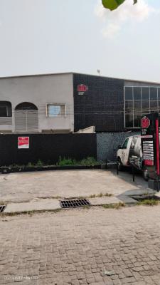 Luxurious 11 Bedroom Duplex for Commercial, Niyi Okunubi Street, Off Admiralty Road, Lekki Phase 1, Lekki, Lagos, Semi-detached Duplex for Rent