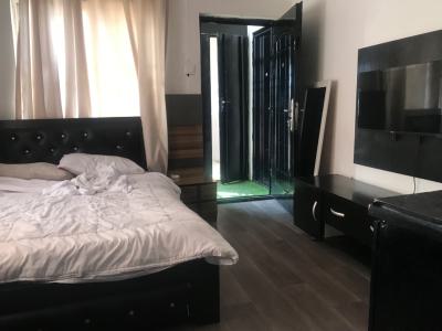 Fully Furnished Studio Apartment, Awudu Ekpegha, Lekki Phase 1, Lekki, Lagos, Self Contain (single Rooms) Short Let