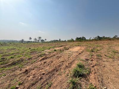 an Investment Land for Your Children to Give Them a Better Future, Facing The Major Road, Purely for Landing Banking and Investment, Odeda, Ogun, Residential Land for Sale