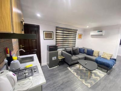 Spacious Fully Furnished 1bedroom with Amazing Finishings & Features, Lekki Phase 1, Lekki, Lagos, Mini Flat (room and Parlour) for Rent
