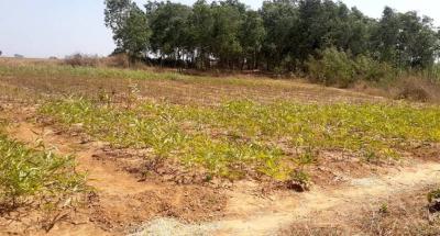100 Hectares Mixed-used (comprehensive Dev.) Land with C of O Handy, Guzape Main, Guzape District, Abuja, Mixed-use Land for Sale