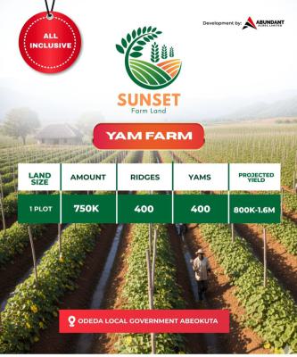 Plots of Yam Farmland on Prelauch, Abeokuta North, Ogun, Commercial Land for Sale