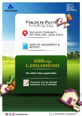 Prime Virgin Land, Odoegiri Community Along The Burrow Pit Road, Epe, Lagos, Land for Sale