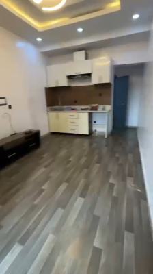 a Tastefully Built Contemporary Mini Flat with Modern Features, Off Finbars Road, Akoka, Yaba, Lagos, Mini Flat (room and Parlour) for Rent