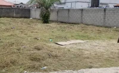 Land, Sokoto Street, Banana Island, Ikoyi, Lagos, Residential Land for Sale