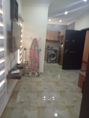 1 Bedroom Furnished and Serviced Studio Apartment, Asokoro District, Abuja, Flat / Apartment for Rent