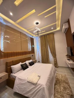 Fully Furnished 4 Bedroom Semi-detached Duplex with Bq, Alaka Estate, Alaka, Surulere, Lagos, Detached Duplex for Rent