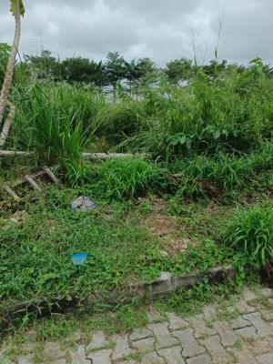 500sqm Facing Monastery Road, Monastery Road, Sangotedo, Ajah, Lagos, Mixed-use Land for Sale