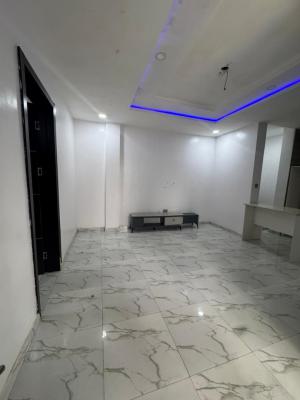 Modern Built Serviced Luxury 1bedroom Flat with Visitors Toilet, Ologolo, Lekki, Lagos, Mini Flat (room and Parlour) for Sale