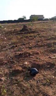 1,600sqm, Residential, C of O, Guzape Main /guzape Bala, Guzape District, Abuja, Residential Land for Sale