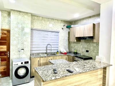 Luxury 4 Bedroom Terrace Duplex with Excellent Facility, Ikate, Lekki, Lagos, Terraced Duplex for Rent