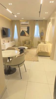 Fully Furnished & Serviced 2 Bedroom Apartment, Ikate Elegushi, Lekki, Lagos, Flat / Apartment for Rent