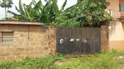 Two Plots of Fully Fenced and Gated Land at Majiygbe Street,ipaja, Majiyagbe Layout Estate, Ipaja, Lagos, Mixed-use Land for Sale