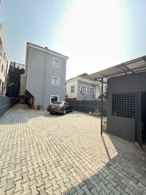 Polished 1 Bedroom Flat, Ikate, Lekki, Lagos, Flat / Apartment for Rent
