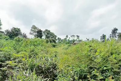 4 Plots of Land, Obirikwerre Airport Road, Port Harcourt, Rivers, Mixed-use Land for Sale