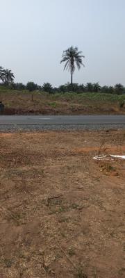 Dry Estate  Dry Land with  C of O, Treasure Island Estate, Moniya, Ibadan, Oyo, Residential Land for Sale