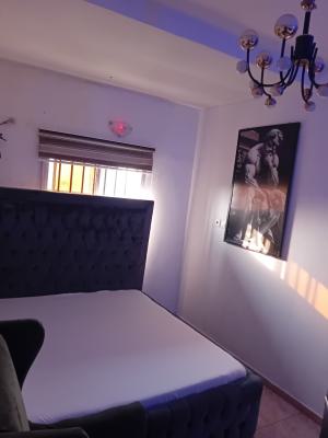 Well Furnished Selfcon, 7 Olugbenga Street, Ajah, Lagos, Flat / Apartment for Rent