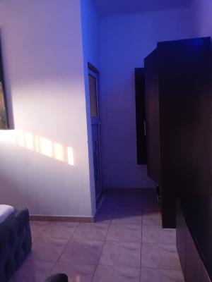 Well Furnished Self Contain, 7 Olugbenga Street, Ajah, Lagos, Flat / Apartment for Rent