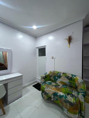 One Bedroom Apartment in Yaba, Alagomeji, Yaba, Lagos, Mini Flat (room and Parlour) Short Let