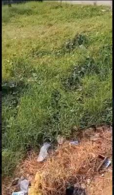 Commercial Bareland of 60 By 120 Facing The Major Road. Video Availabl, Abaranje Road at Ile - Eja Bustop Axis Alimosho., Alimosho, Lagos, Land for Sale