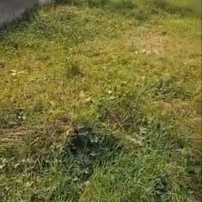 Commercial Bare Land of 60 By 120 Facing The Major Road. Video Available, Abaranje Road, Ile - Eja Bustop, Alimosho, Lagos, Land for Sale