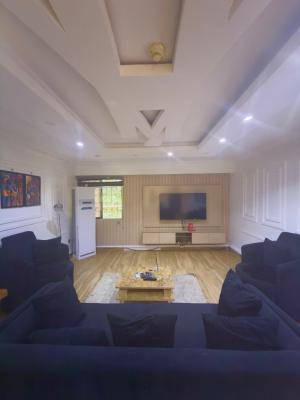 Standard 2bedroom Furnished Apartment, Wuse 2, Wuse 2, Abuja, Flat / Apartment for Rent