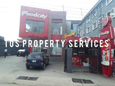 Functional Plaza/commercial Building, on Itire Road, Surulere, Lagos, Surulere, Lagos, Plaza / Complex / Mall for Sale