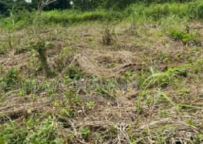 500sqm Cornerpiece Bare Land, Banana Island, Ikoyi, Lagos, Residential Land for Sale
