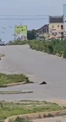 5 Hectares Joint Venture Land in a Strategic Location, Jahi, Abuja, Land Joint Venture