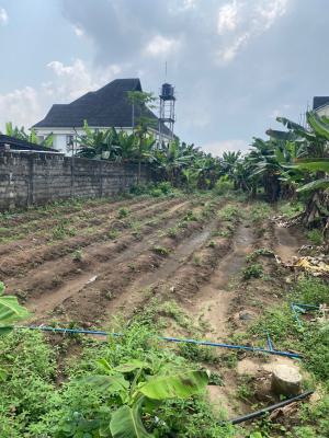 Well Located and Table Dry Land, Ivory Heights Estate. / Shell Cooperative, Port Harcourt, Rivers, Residential Land for Sale