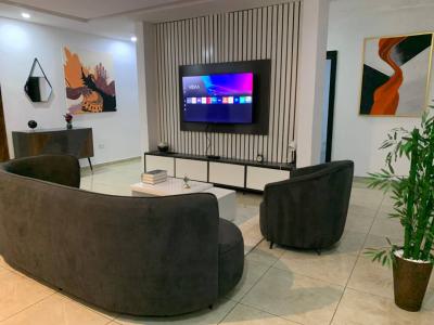 Luxury 2 Bedroom Apartment with Excellent Facility — Chevron, Lekki, Lagos