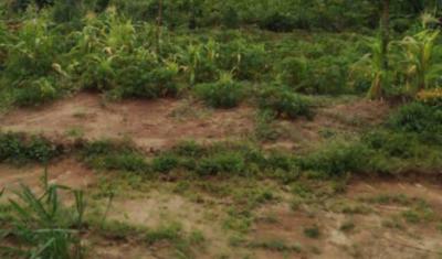 Jv - 3120sqm Joint Venture Land, Chisco, Ikate Elegushi, Lekki, Lagos, Residential Land Joint Venture