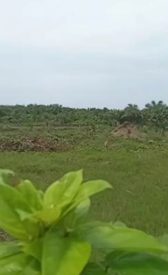 Land Measuring 25 Hectares, Behind Greenspring School, Awoyaya, Ibeju Lekki, Lagos, Mixed-use Land for Sale