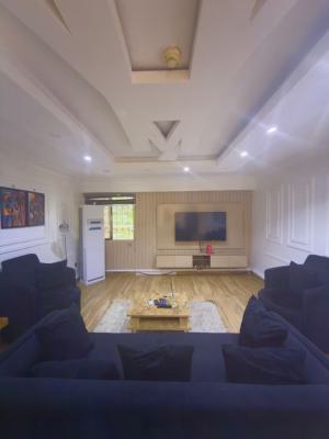 Fully Furnished 2bedroom Apartment, Wuse, Wuse, Abuja, Flat / Apartment for Rent