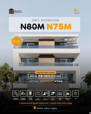 Earn Yearly From a Handsfree Airbnb Apartment on The Mainland, Yaba, Lagos, Flat / Apartment for Sale