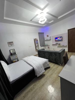 Luxuriously Furnished Studio Apartment in a Serviced Estate, Toxbury Estate, Opposite Vgc, Ikota, Lekki, Lagos, Ikota, Lekki, Lagos, Self Contain (single Rooms) for Rent