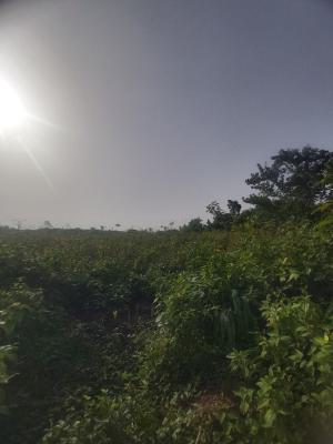 8.5 Hectares of  Prime Land, Ajayi Apata Estate, Sangotedo, Ajah, Lagos, Land for Sale