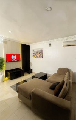 Exclusive Fully Furnished One Bedroom Apartment, Ikeja Gra, Ikeja, Lagos, Mini Flat (room and Parlour) for Rent