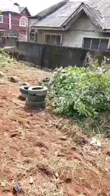 Secured & Calm Half Plot of Land, Peace Estate, Command, Ipaja, Lagos, Residential Land for Sale