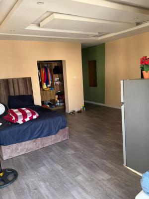 Beautifully Furnished Shared Apartment in a Gated Estate, Ologolo, Lekki, Lagos, Self Contain (single Rooms) for Rent