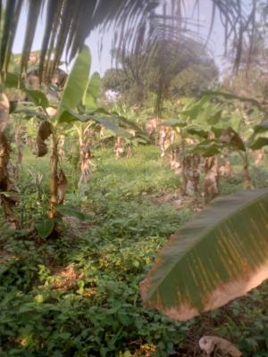 2 & Half Plots of Land with 3 Bedroom Apartment, Kemta Housing Estate, Idi Aba, Abeokuta South, Ogun, Residential Land for Sale