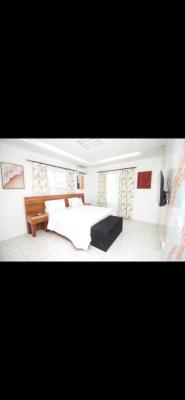 Furnished 3 Bedroom Apartment in a Serene Location, Lekki Phase 1, Lekki, Lagos, Flat / Apartment for Rent