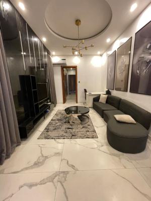 Luxury 5 Bedroom Fully Detached Duplex with Excellent Facilities, Agungi, Lekki, Lagos, Detached Duplex for Rent